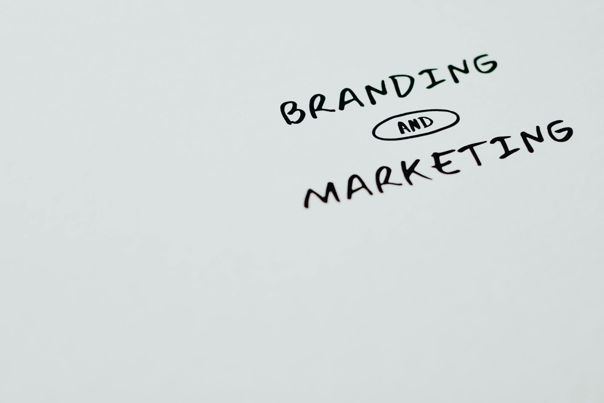 Branding and marketing header